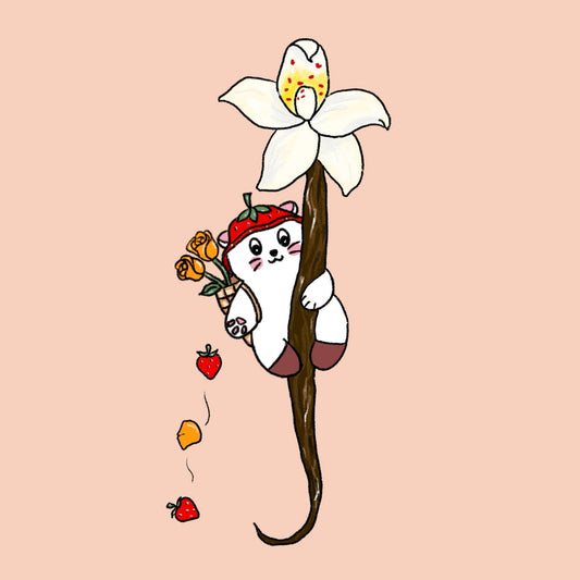 Colombia El Vergel Estate Gesha Anaerobic Natural